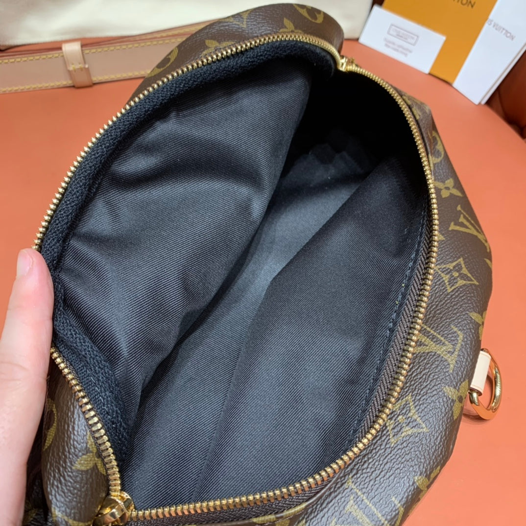 Louis Vuitton Bumbag
