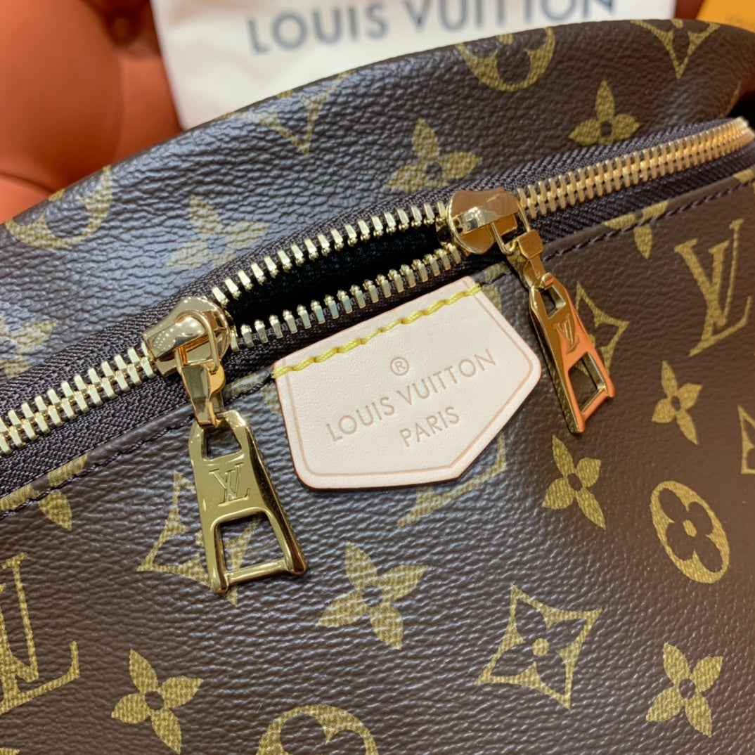 Louis Vuitton Bumbag
