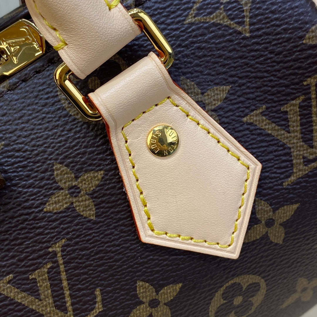 Louis Vuitton Speedy Bandouliere 20 Bag