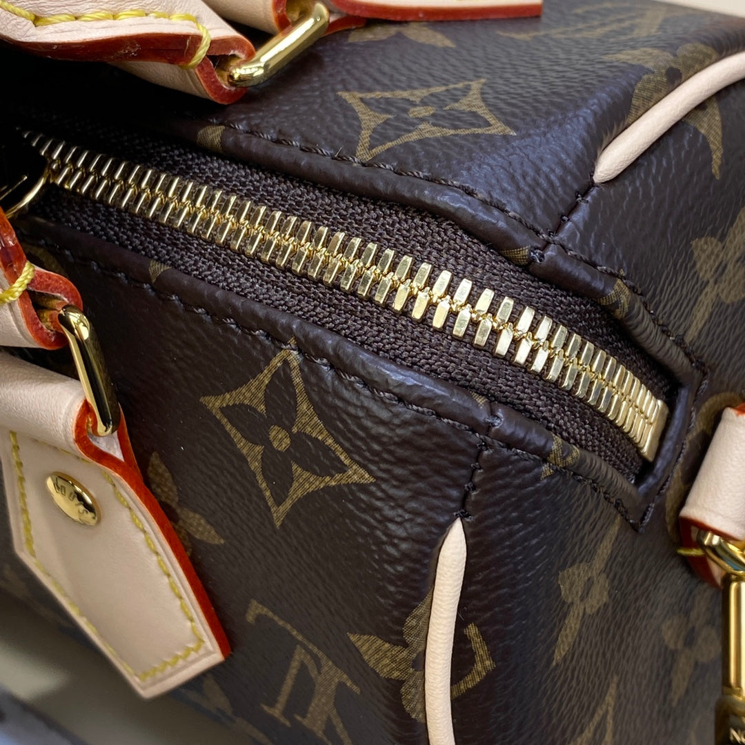 Louis Vuitton Speedy Bandouliere 20 Bag