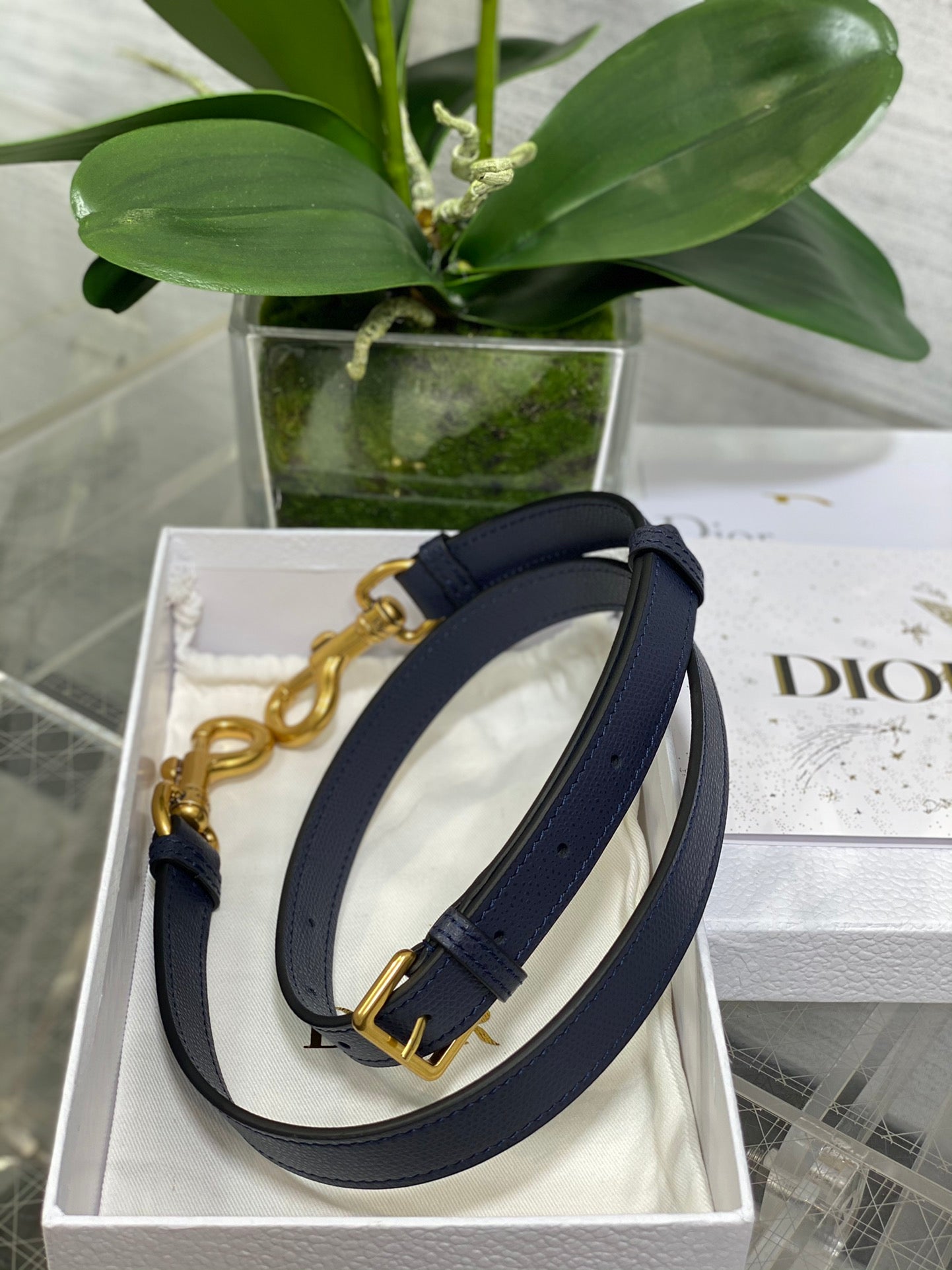 Christian Dior Saddle Bag With Strap