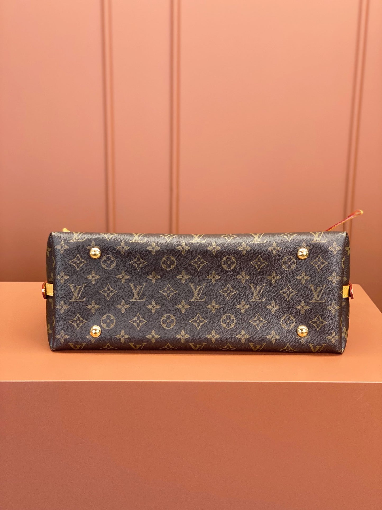Louis Vuitton CarryAll MM