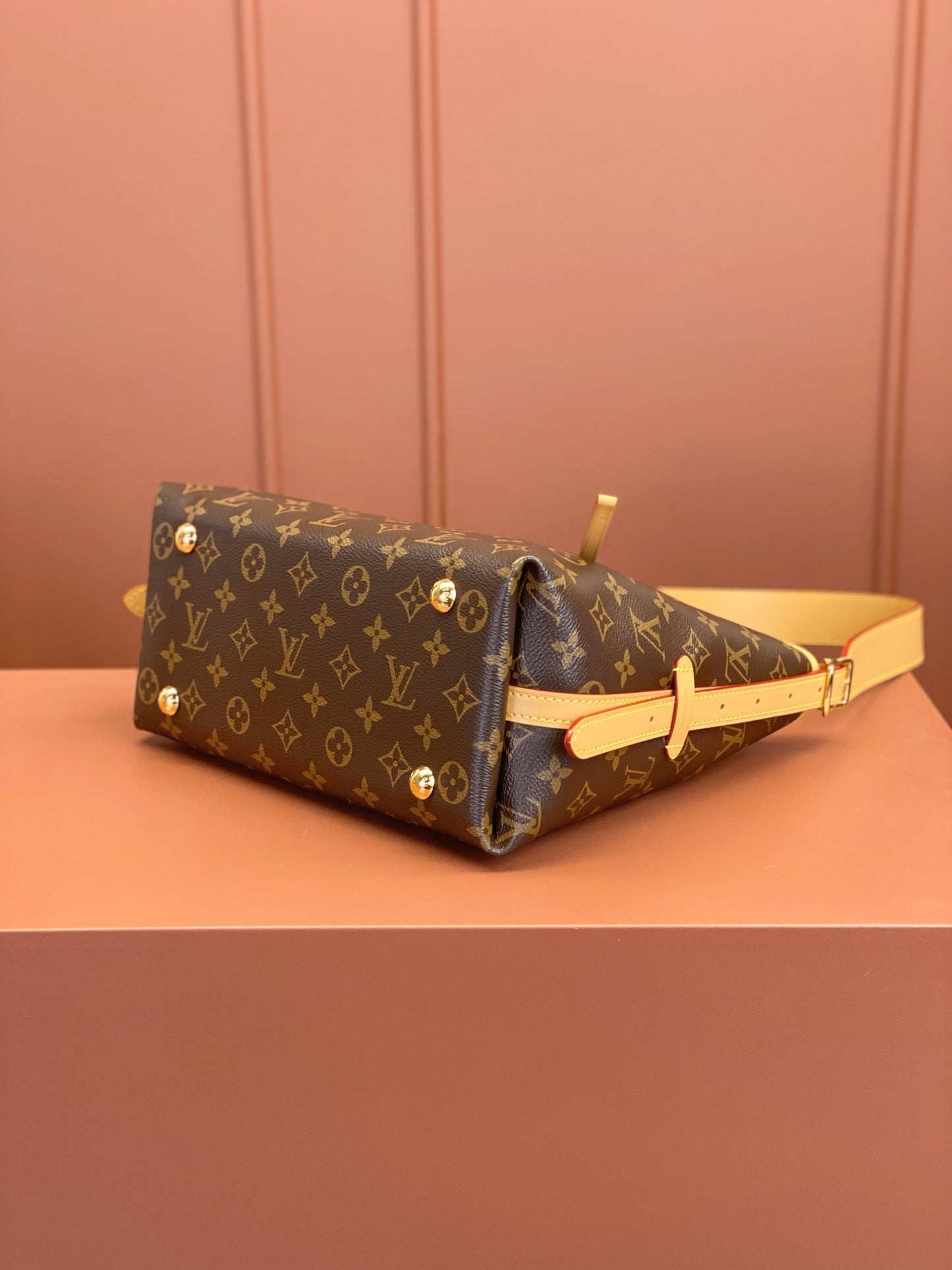 Louis Vuitton CarryAll PM