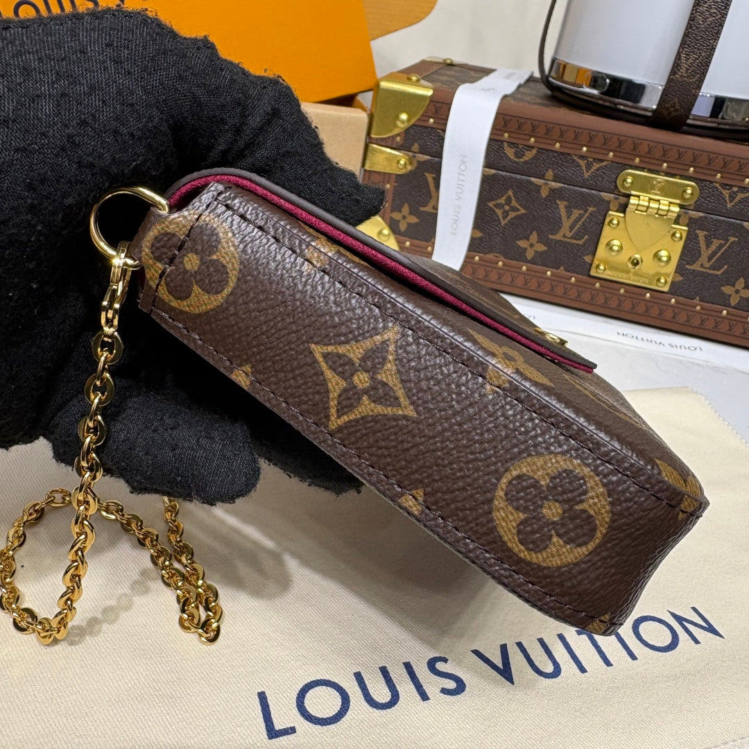 Louis Vuitton Felicie Pochette