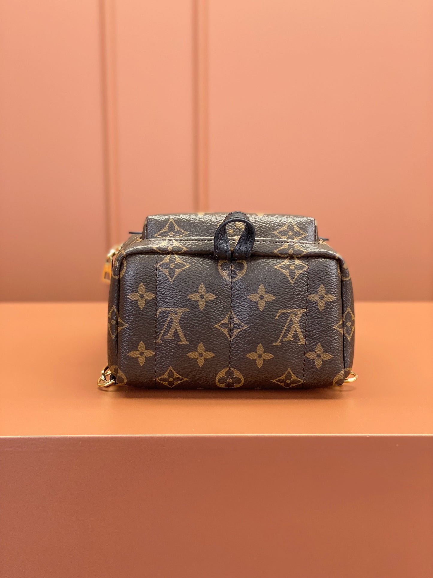 Louis Vuitton Palm Springs Mini