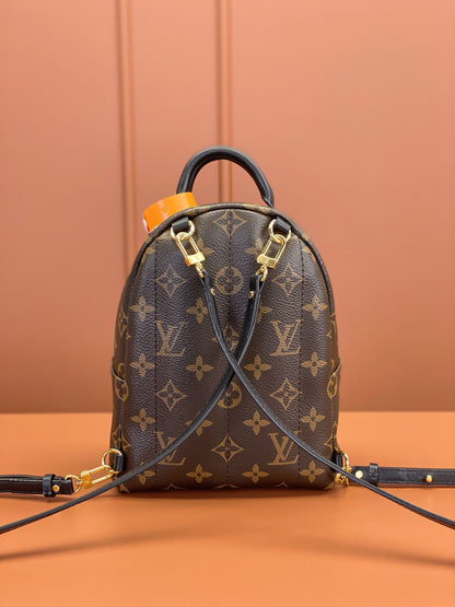 Louis Vuitton Palm Springs Mini