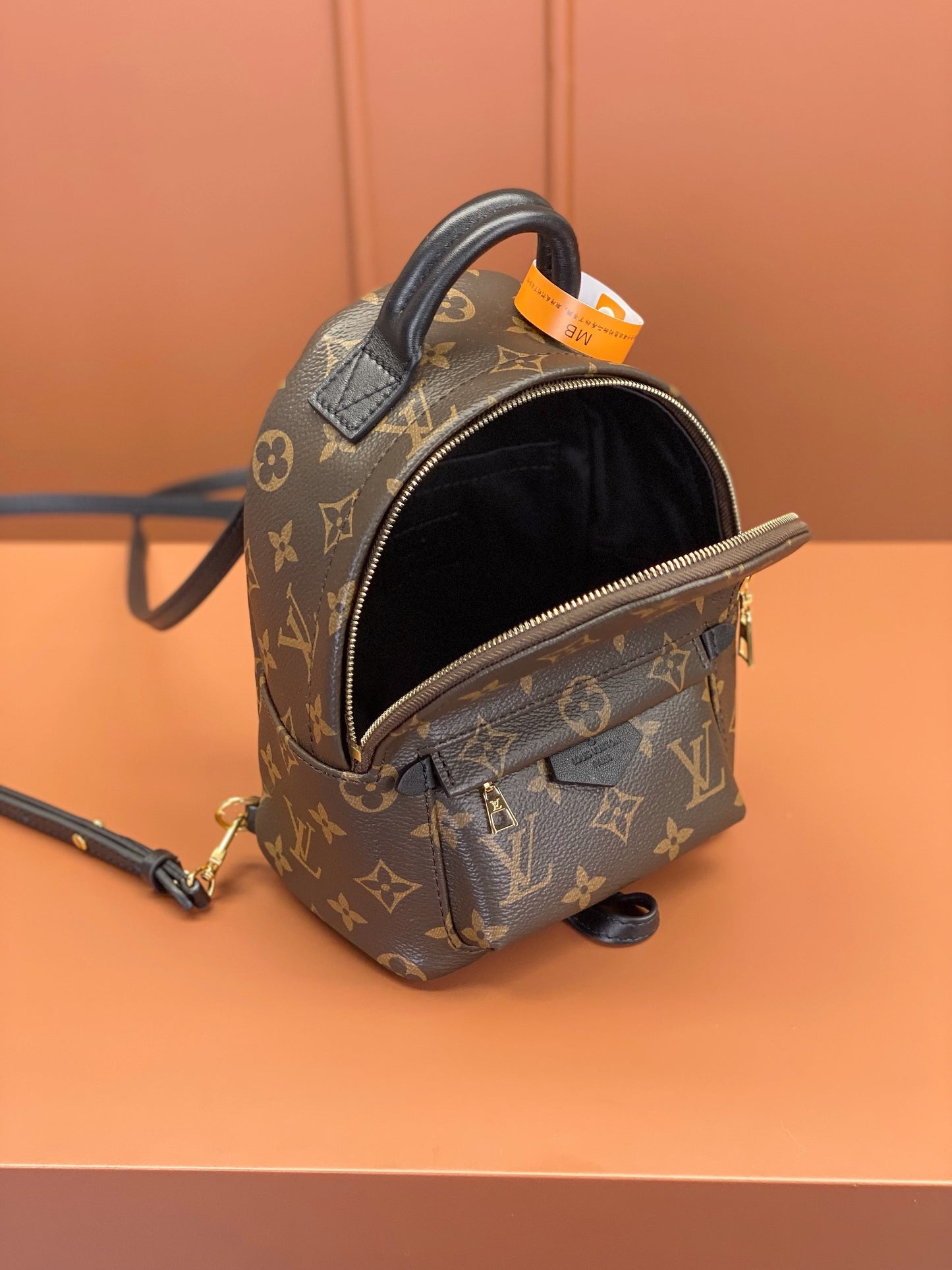 Louis Vuitton Palm Springs Mini