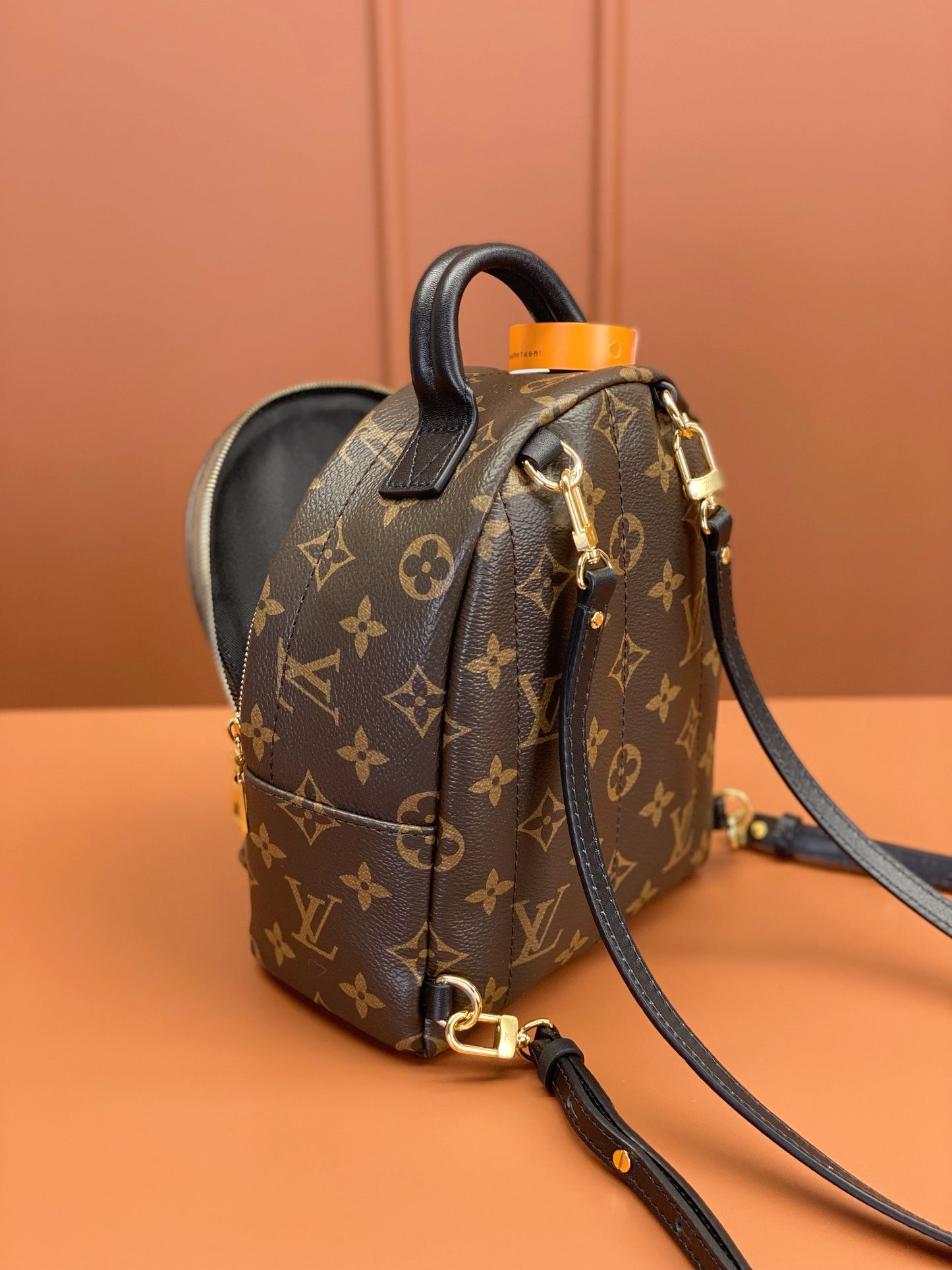 Louis Vuitton Palm Springs Mini