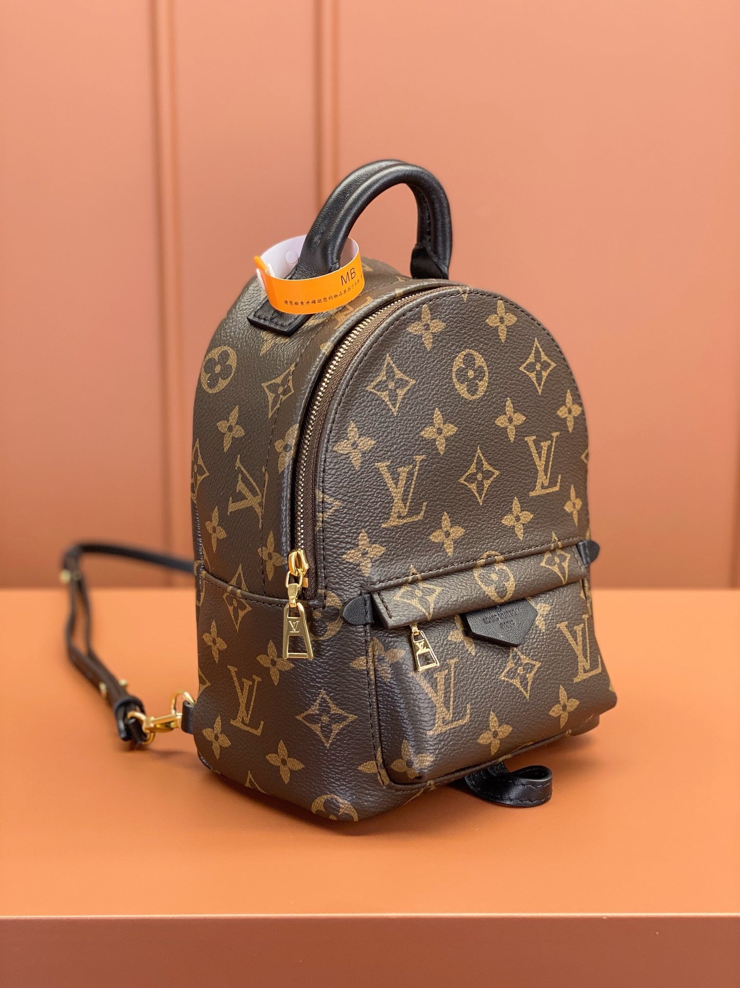 Louis Vuitton Palm Springs Mini