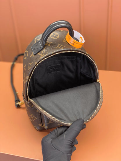 Louis Vuitton Palm Springs Mini