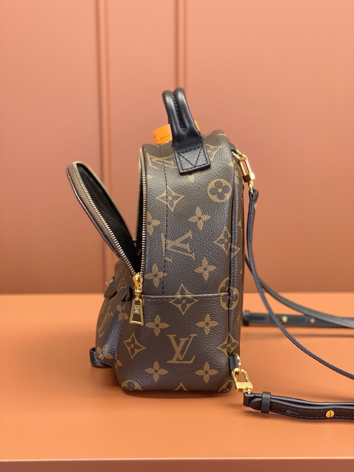 Louis Vuitton Palm Springs Mini