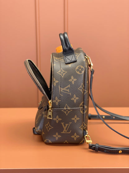 Louis Vuitton Palm Springs Mini