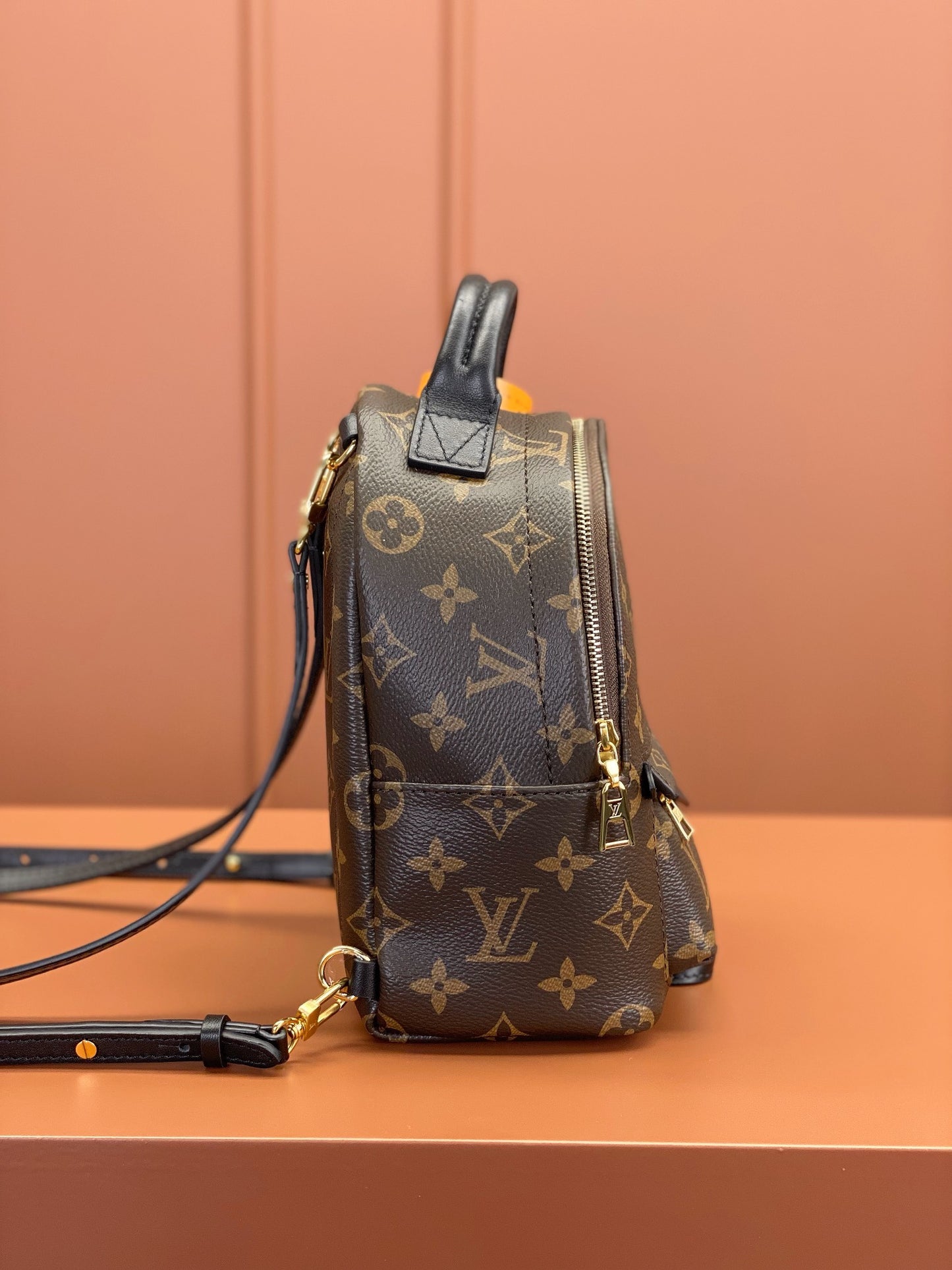 Louis Vuitton Palm Springs Mini
