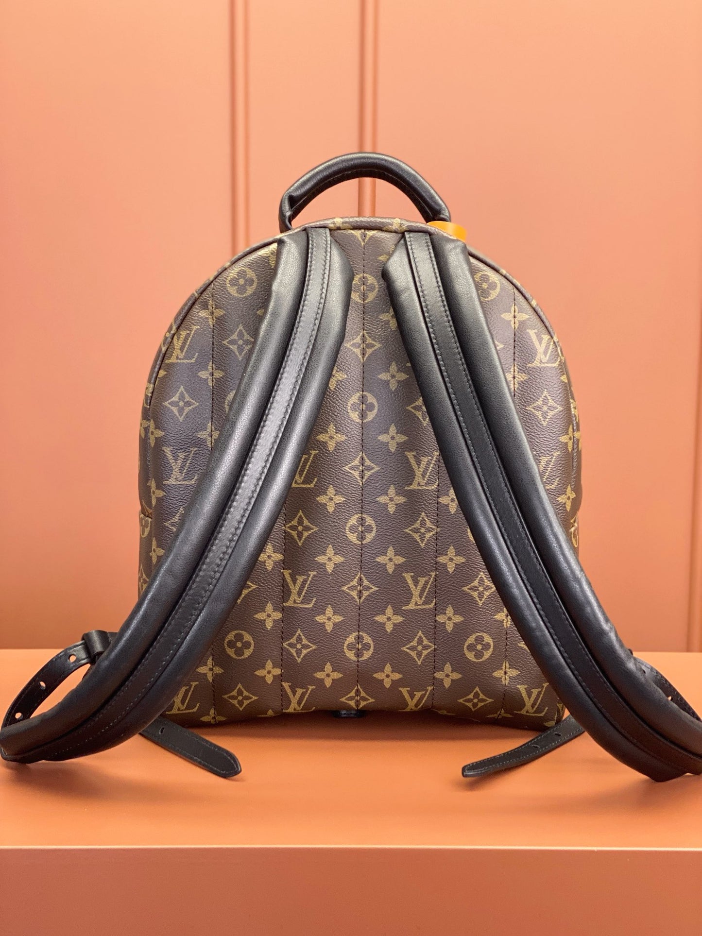 Louis Vuitton Palm Springs MM