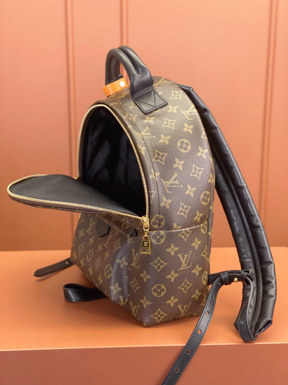 Louis Vuitton Palm Springs MM