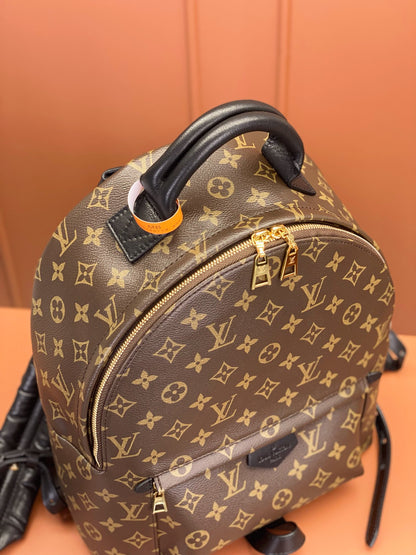 Louis Vuitton Palm Springs MM