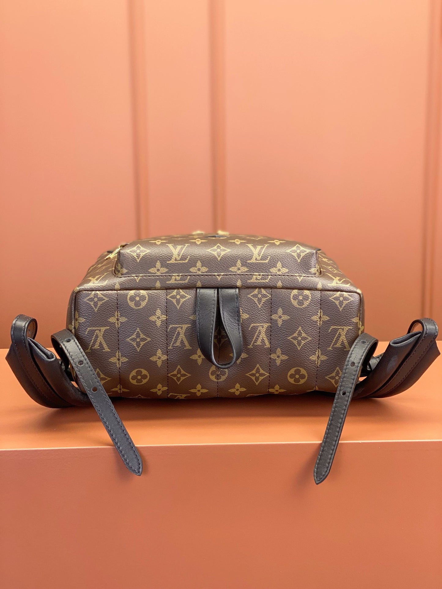 Louis Vuitton Palm Springs MM