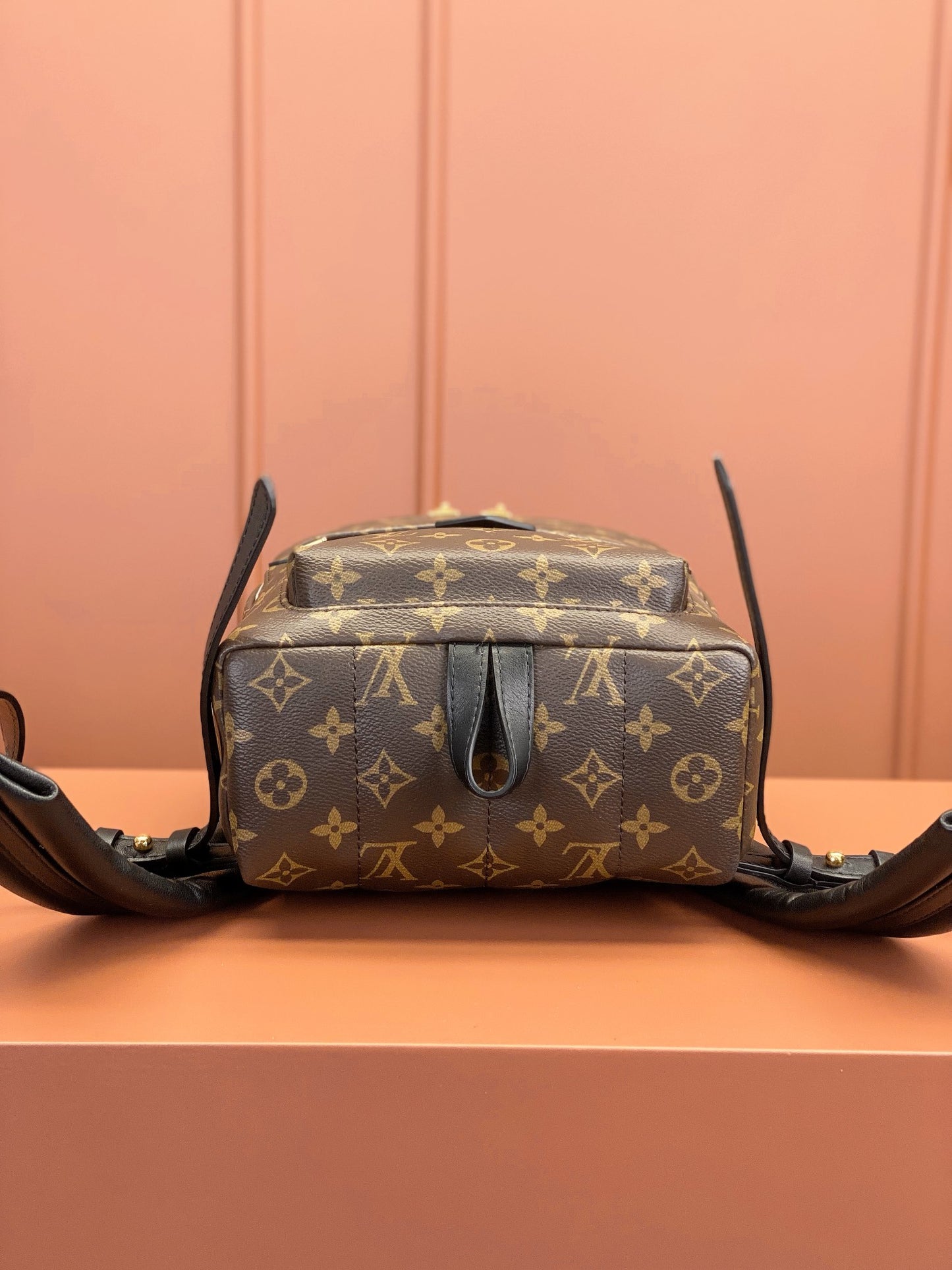 Louis Vuitton Palm Springs PM