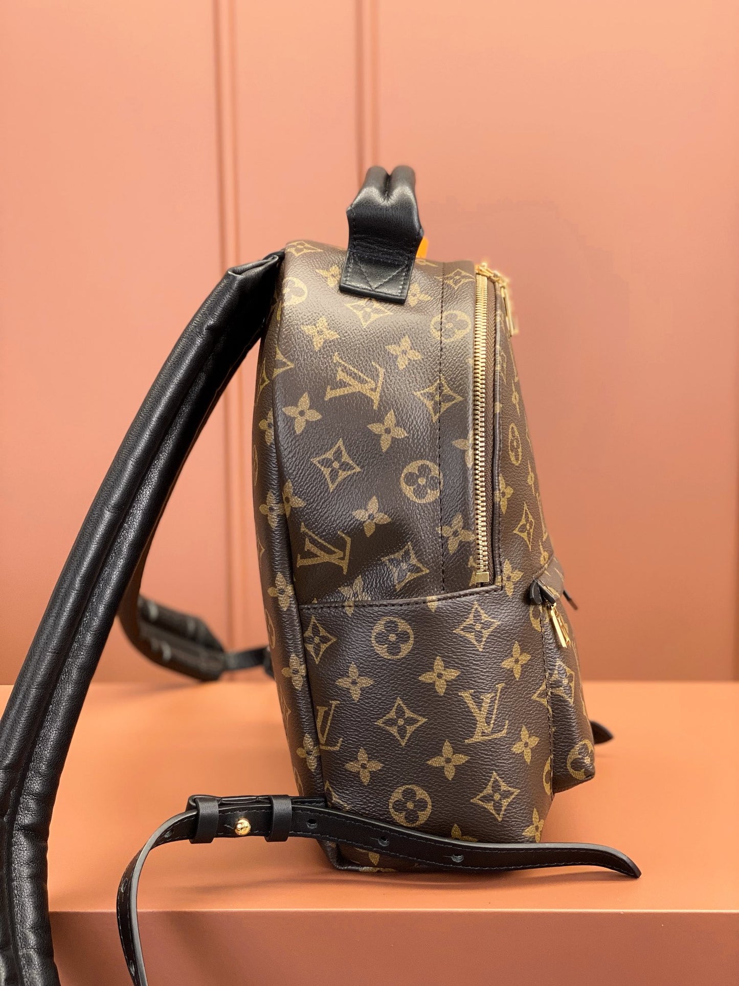 Louis Vuitton Palm Springs PM