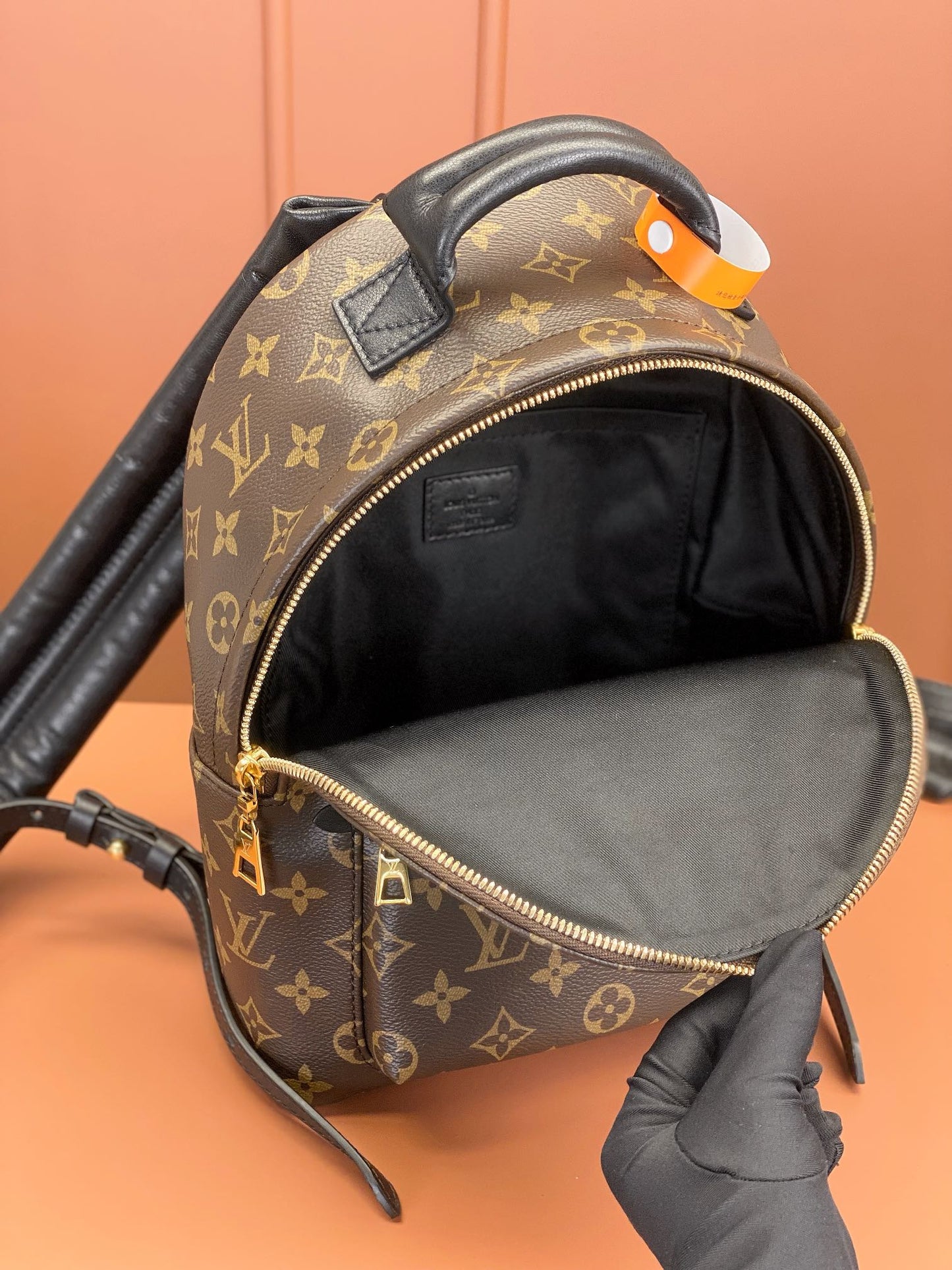 Louis Vuitton Palm Springs PM