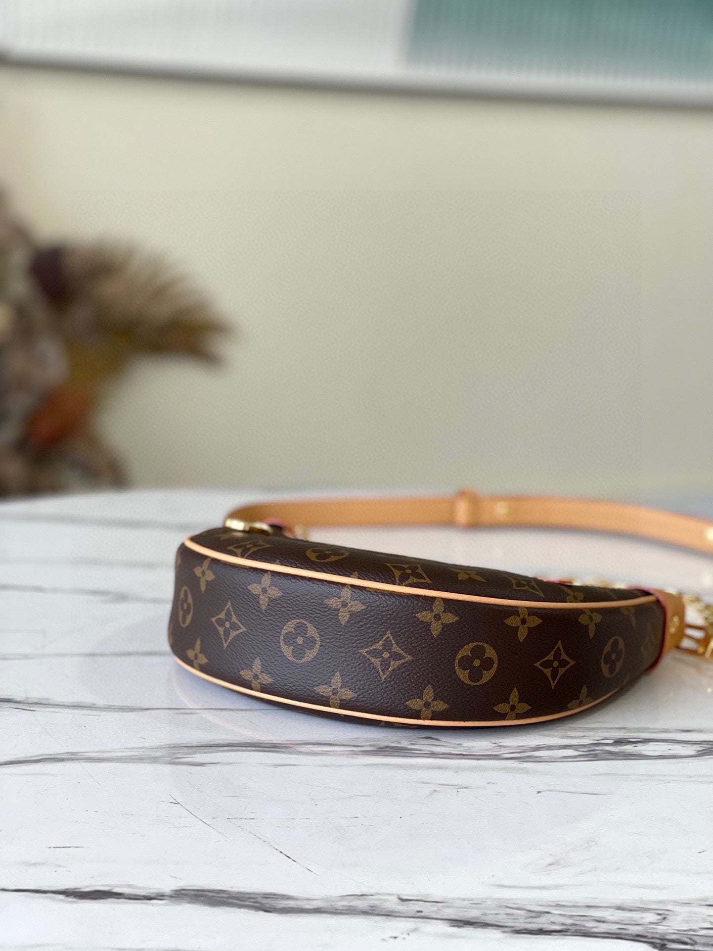 Louis Vuitton Loop