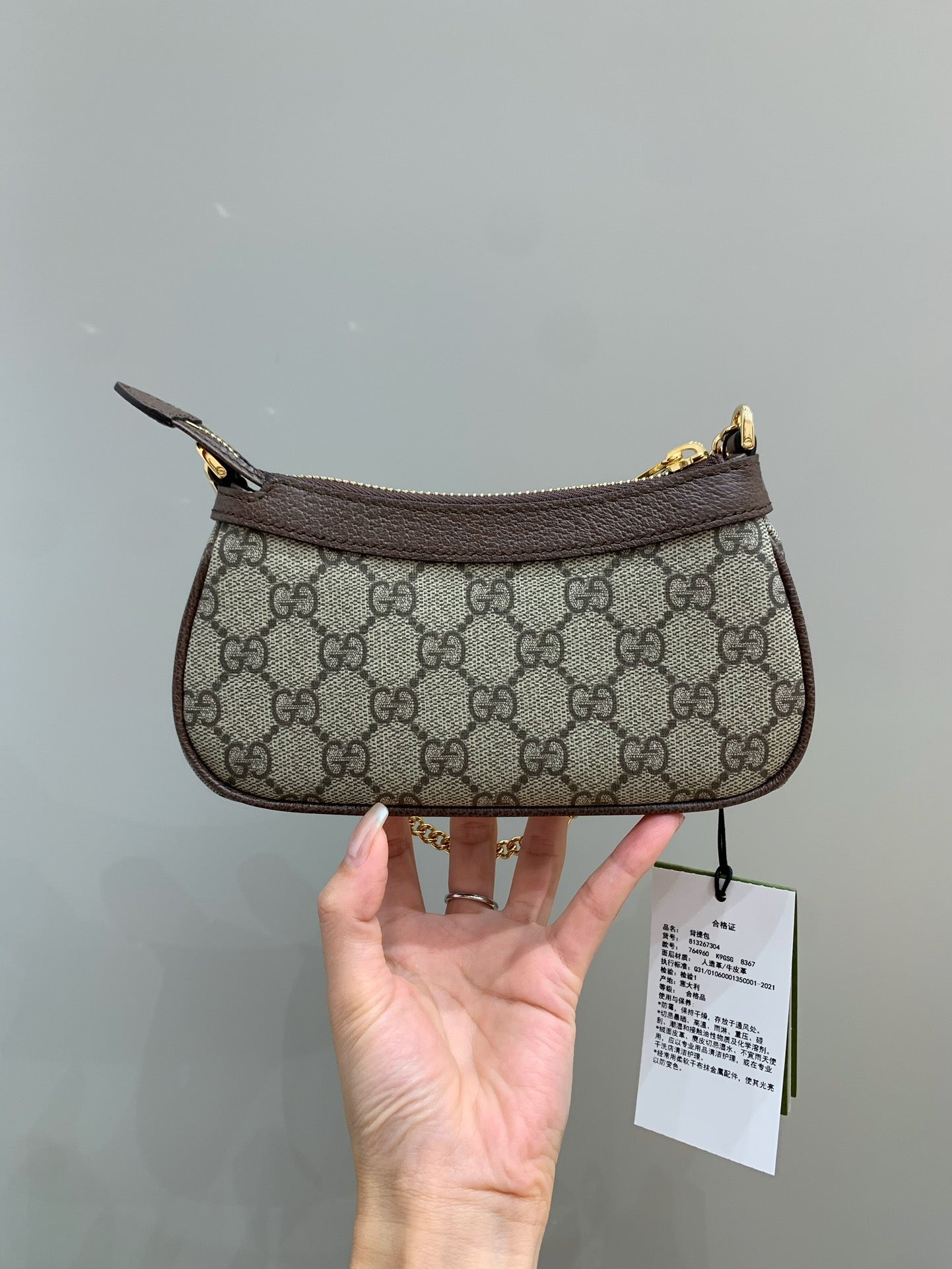 Gucci Ophidia Mini Bag