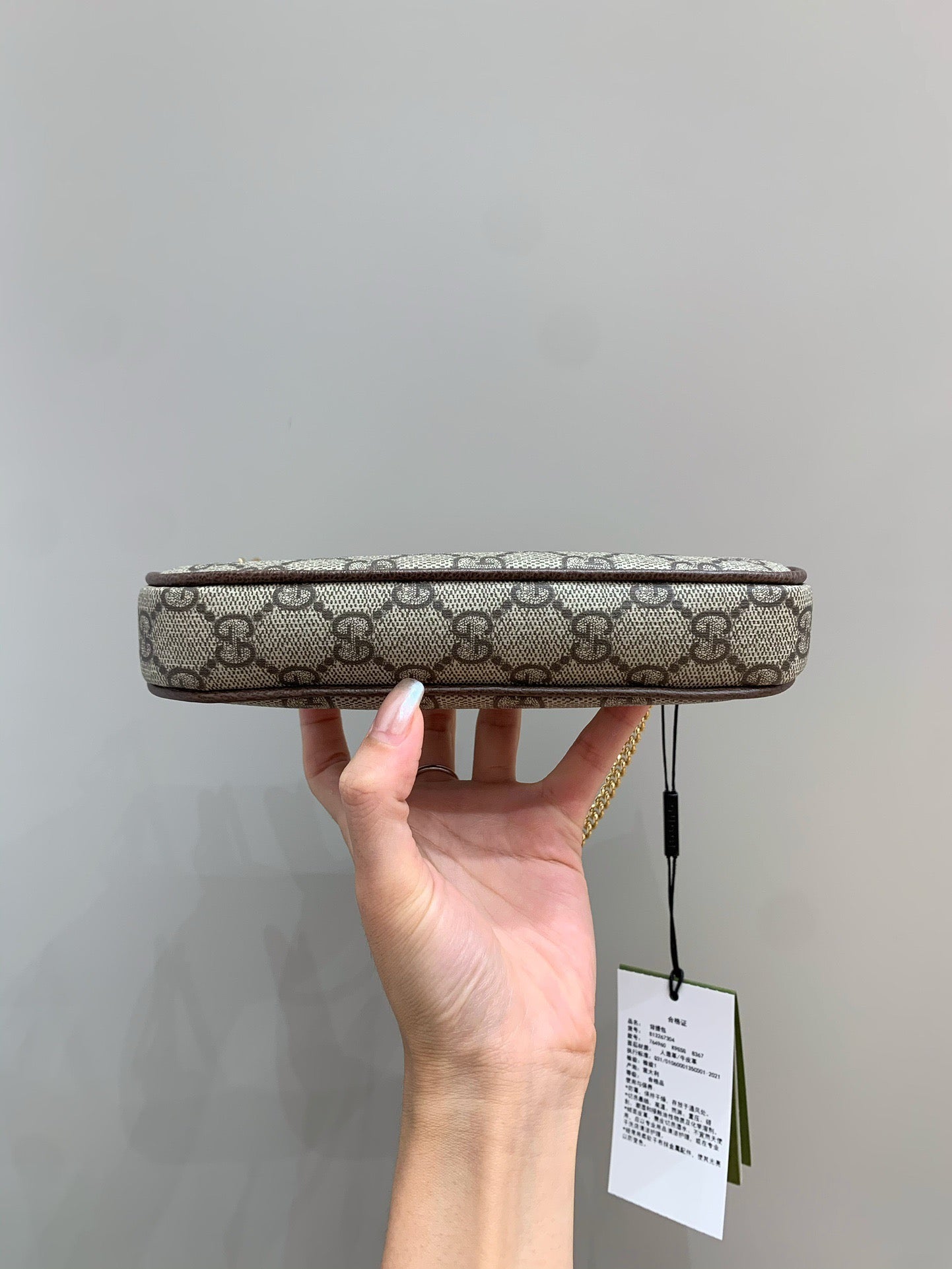 Gucci Ophidia Mini Bag