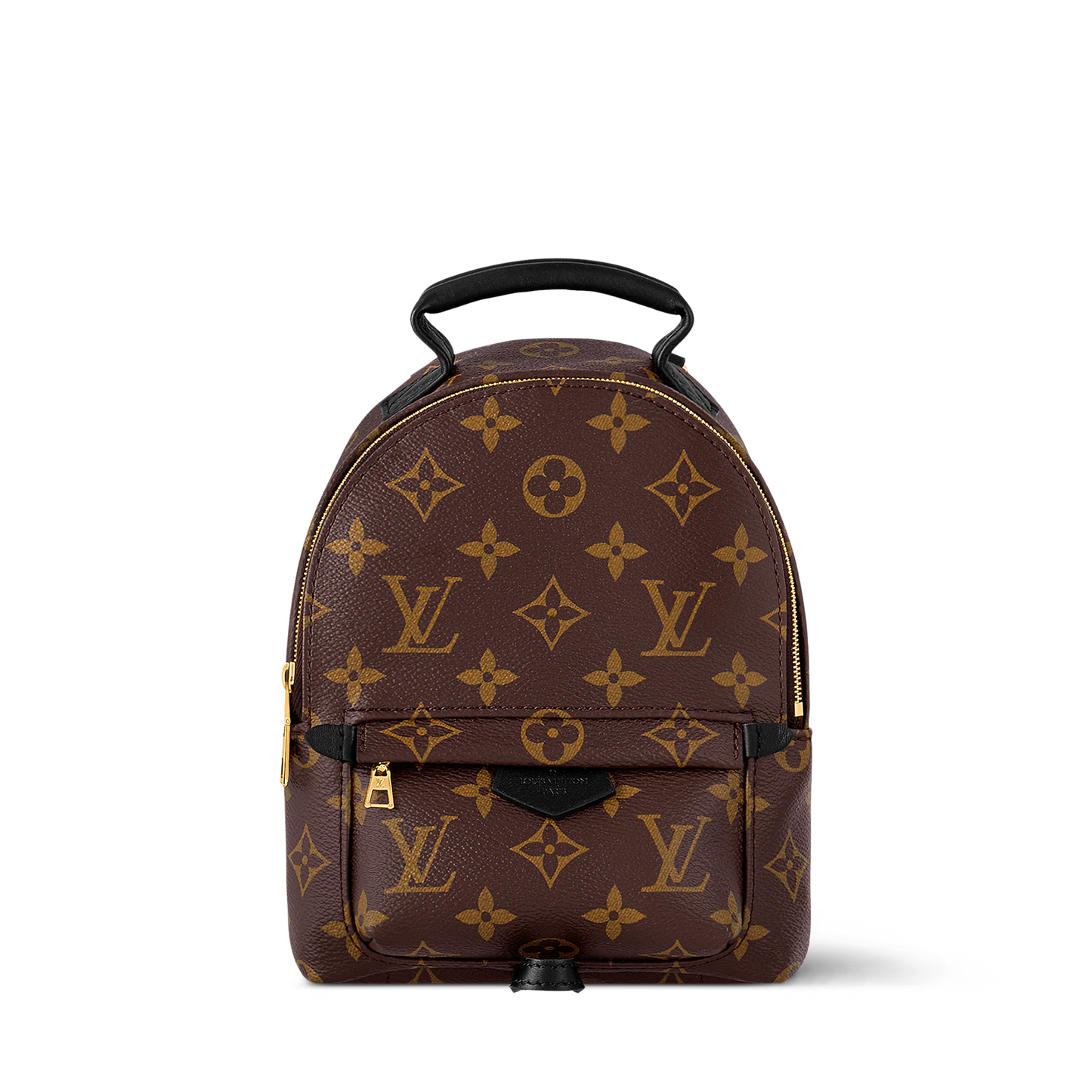 Louis Vuitton Palm Springs Mini