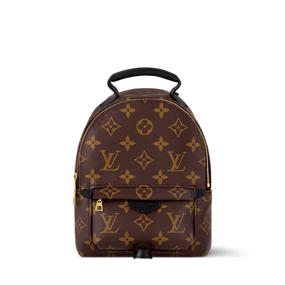 Louis Vuitton Palm Springs Mini