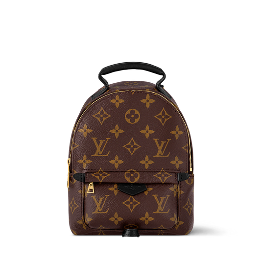 Louis Vuitton Palm Springs Mini